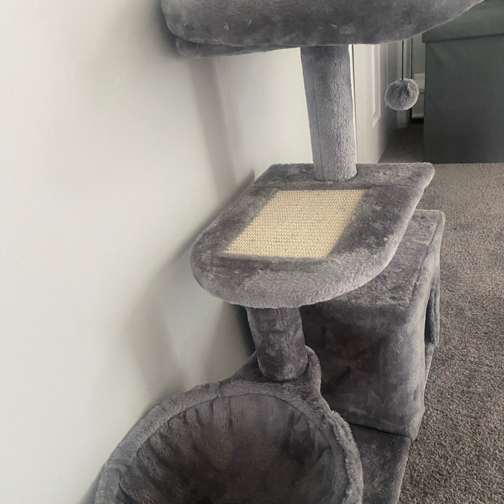 Used cat tree. Great for kittens and small cats.